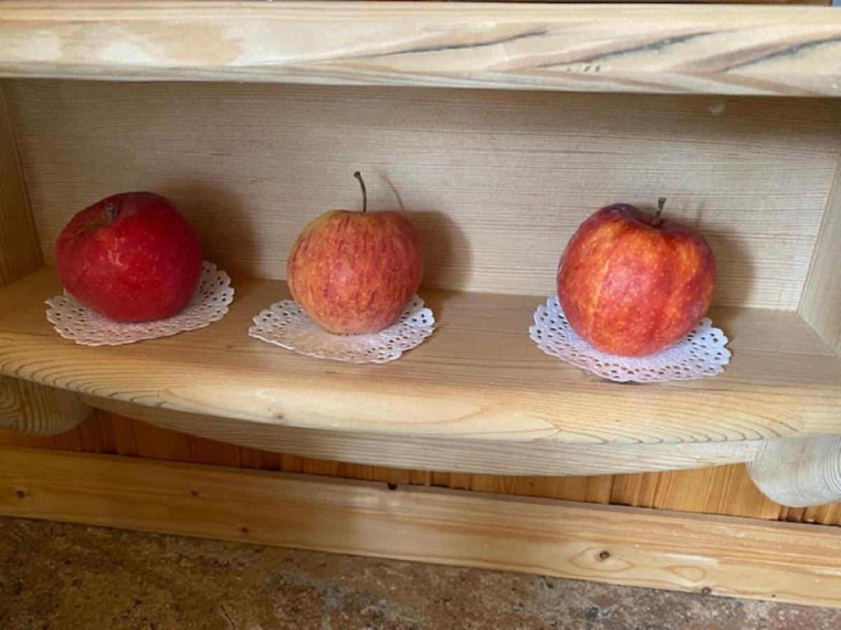 Alpenappartements Schwalbennestl ミッテンヴァルト エクステリア 写真